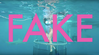 That Viral Porn Star Shark Bite Video Is Totally Fake